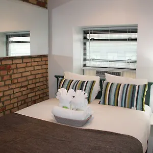 Chelsea (adults Only) Estados Unidos